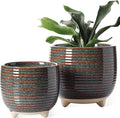 LE TAUCI Ceramic Plant Pots, 5.1 + 6.4 Inch Footed Pots by LETAUCI