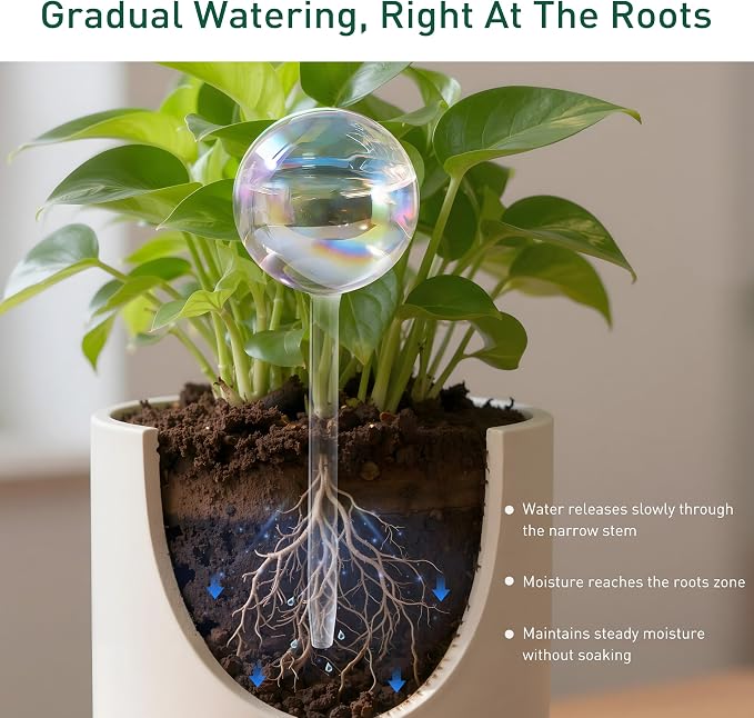 Extra-Thick Clear Glass Plant Watering Globes, Rainbow Gradient Self Watering - Image 6