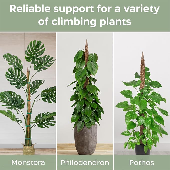 2 Pack 63'' Bendable Moss Pole Monstera Plant Support - Image 4