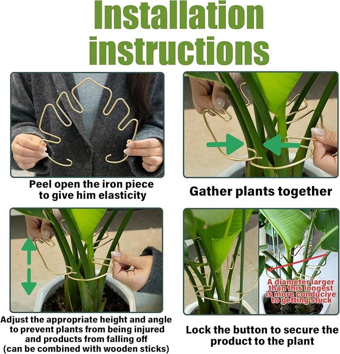 Monstera Stem Support - Image 5