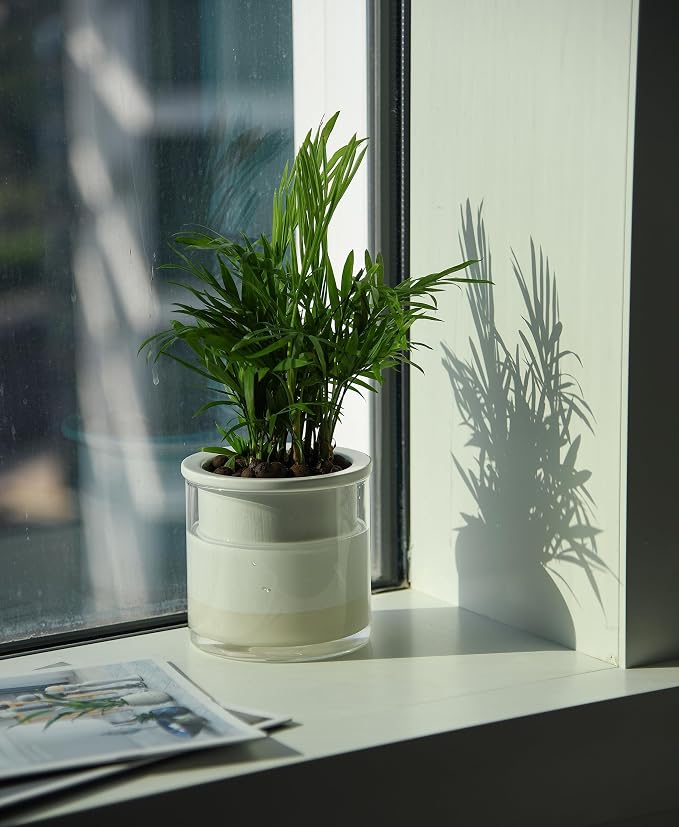Phoenix Vine 4 Inch Self Watering Planter Pot, Design White Terracotta Pots - Image 5
