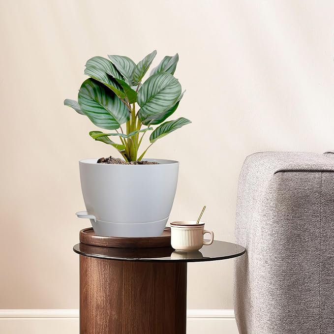 8 inch Self Watering Pots, Plant Pots - Image 2