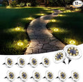 SOLPEX Solar Lights Outdoor Waterproof, 12 Pack Solar Ground Lights, Solar by Solpex