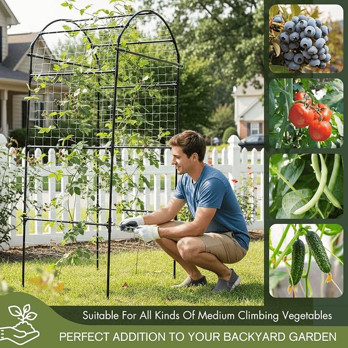 79" Garden Trellis Arch for Climbing Plants – Tall Outdoor Metal Trellis for - Image 4