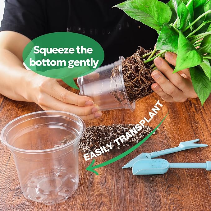 60 Packs 3.5 Inch Reinforced Clear Nursery Pots - Image 5