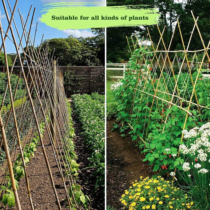 15pcs 3/4" D Thicker Heavy Duty Bamboo Stakes, 7FT Plant Stakes, Natural Garden - Image 8