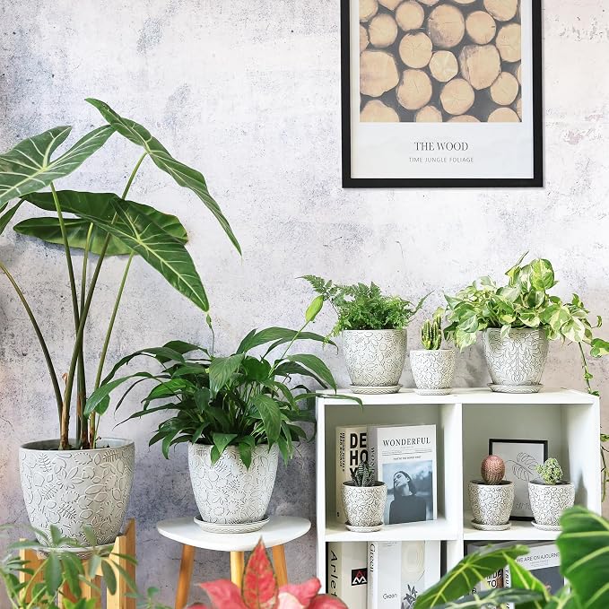 8 Inch + 6 Inch Retro Ceramic Planter Set of 2 - Image 6