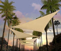 Amgo Custom Size 9' x 9' x 9' Beige Triangle Sun Shade Sail Order to Make by Amgo