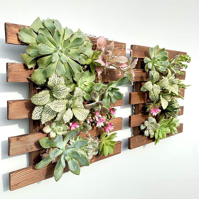 ShopLaLa Wall Planter by ShopLaLa