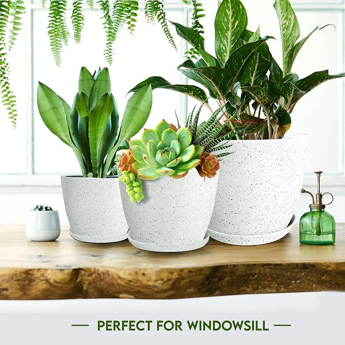 Utopia Home - Spotty Plant Pots Indoor - 7/6.6/6/5.3/4.8 Inches Flower Pots - - Image 6