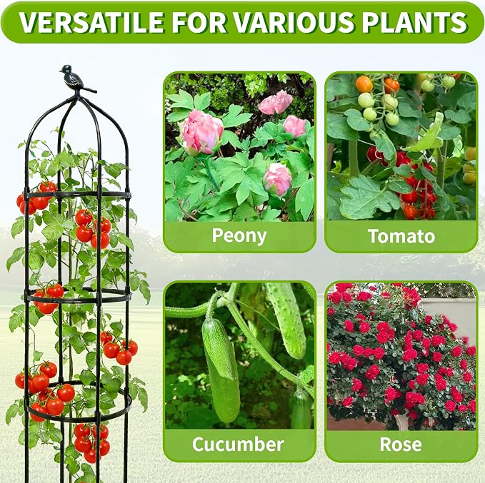 4-Pack 6FT Garden Obelisk Trellis - Image 6