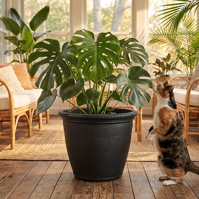 Sunnydaze 20-Inch Anjelica Large Plastic Pot - Image 9