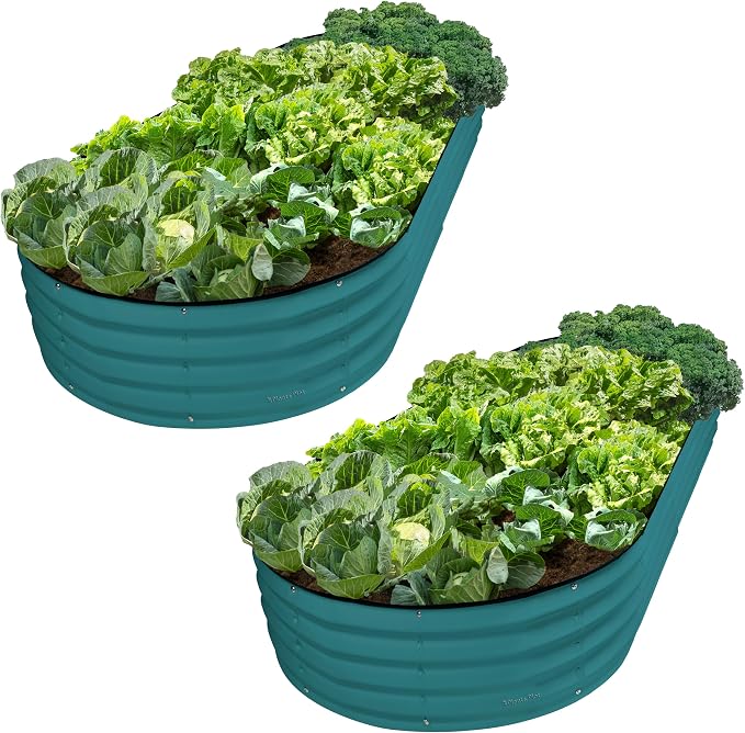 Plant & Plot Galvanized Raised Garden Beds Outdoor // 8×4×1 ft Planter Raised by PlantPlot