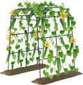 Miory Garden Arch Trellis for Climbing Plants Outdoor, Metal Plants Support by Miory